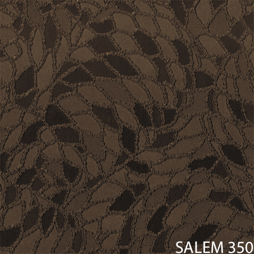 salem 350_new_popis